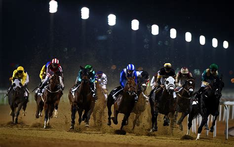 Racing at Meydan .